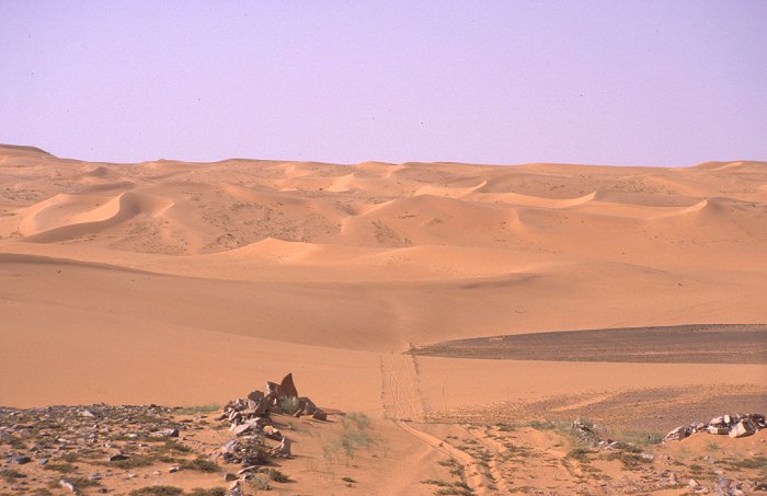 Blick zurück auf die gemeisterten Dünen