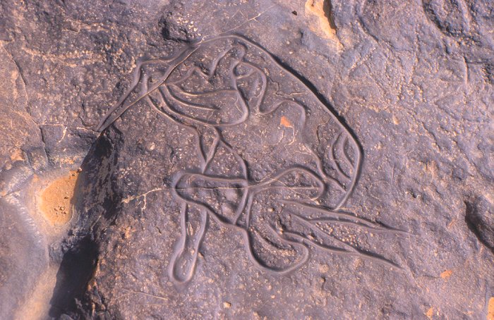 Jahrtausende alte Gravur einer Gazelle