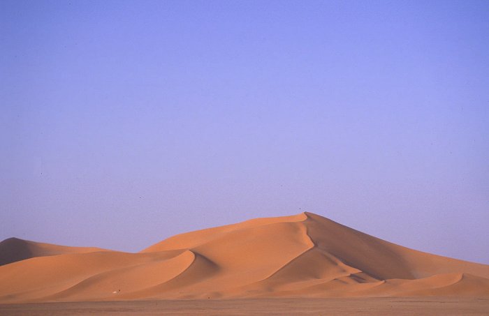 Dünen am Morgen: Abschied von Algerien