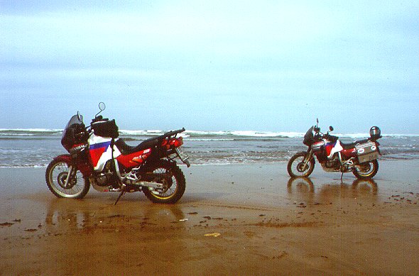 Am Strand südlich von Essauira