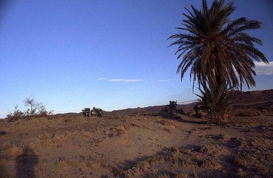 Unser Nachtlager unter Palmen bei Beni Tajjite