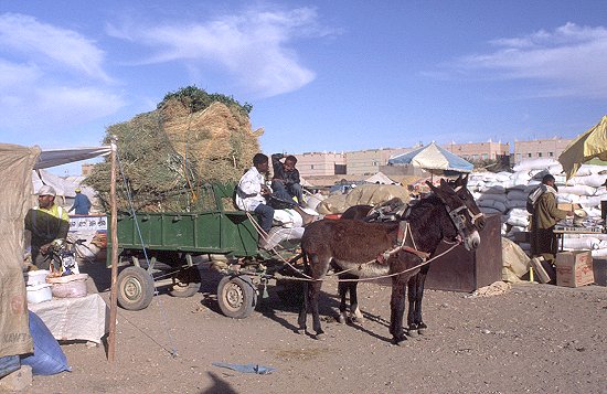 Marokkanischer Lastwagen