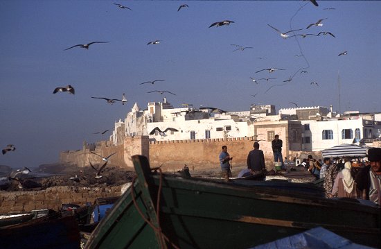 Im Hafen von Essaouira