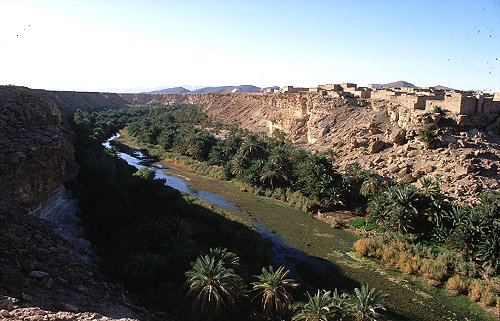 Das Wasser des Oued Tissint ermöglicht den Anbau verschiedener Nutzpflanzen.