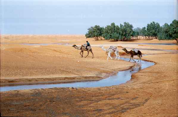 Soviel Wasser in der Wüste?
