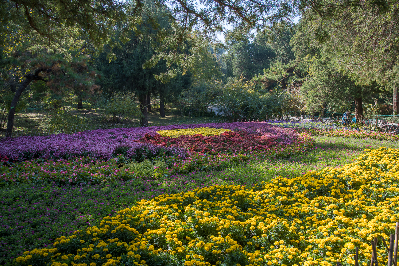 Blütenpracht im Park