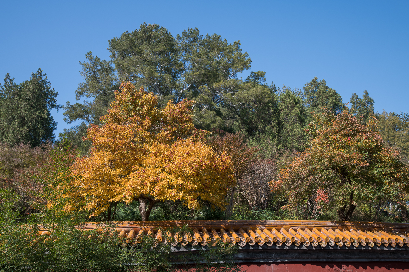 Herbstliche Farben