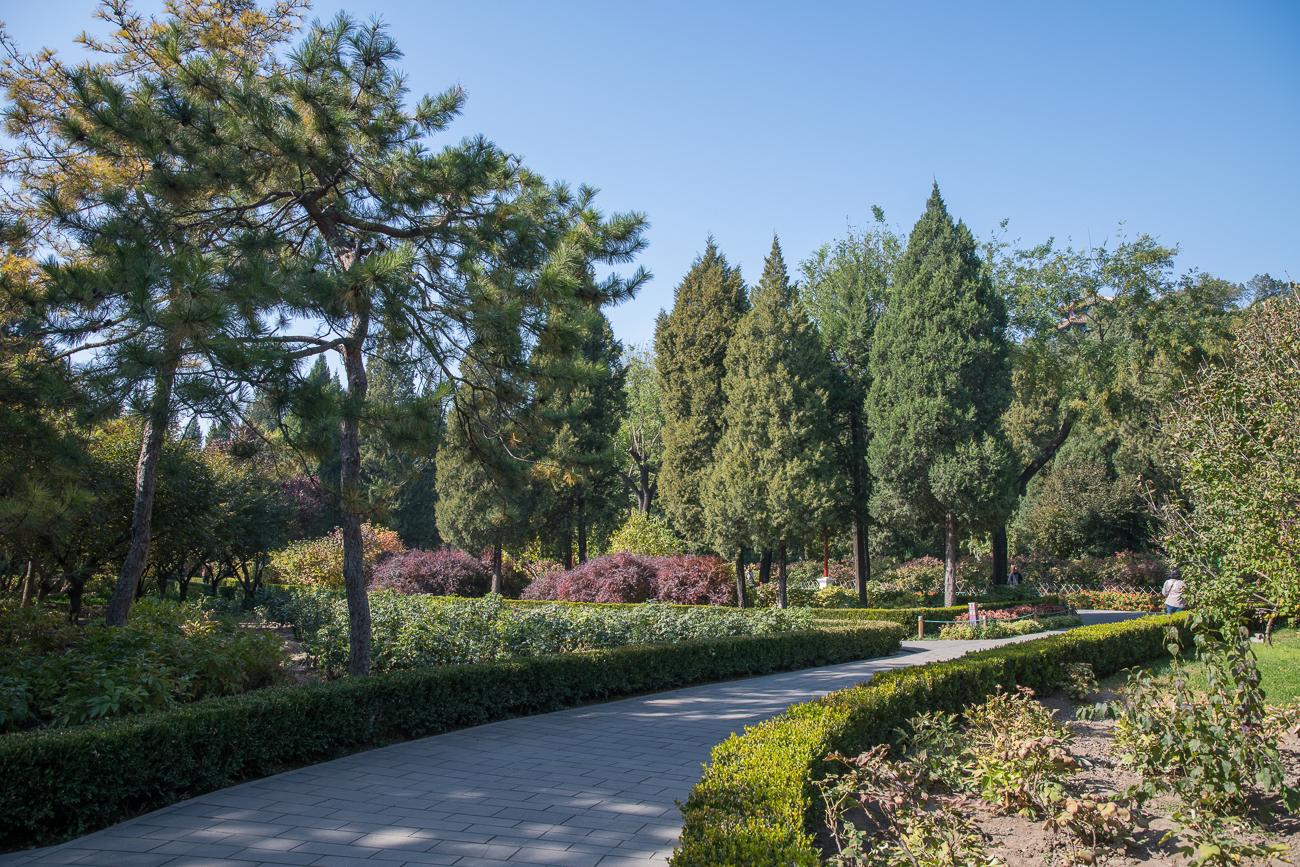 Wege im Park