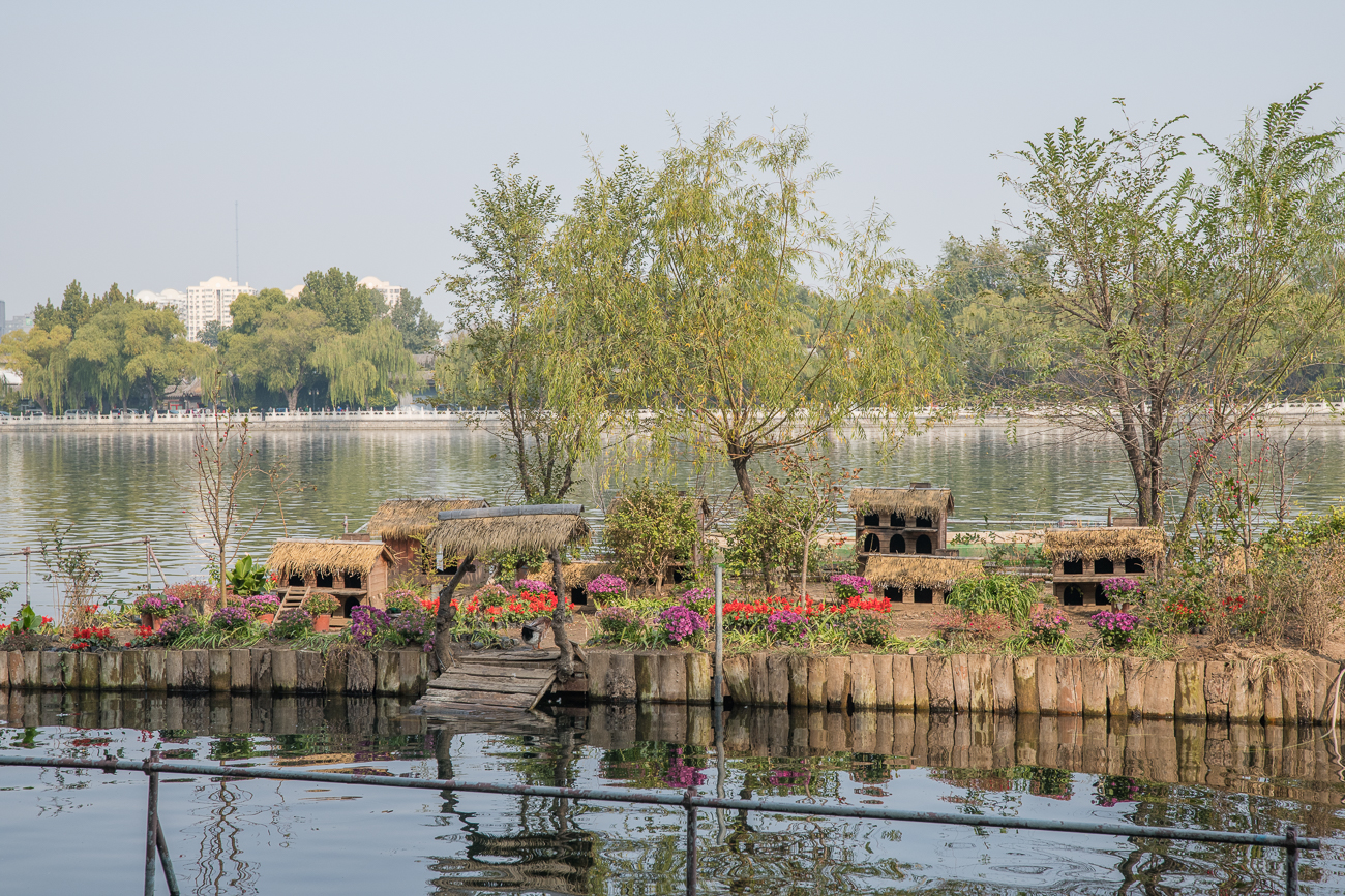 Behausungen für Enten