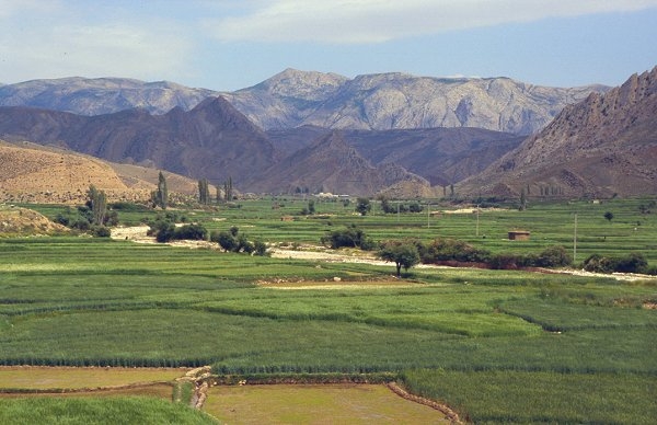 Fruchtbares Tal unweit der Turkmenischen Grenze