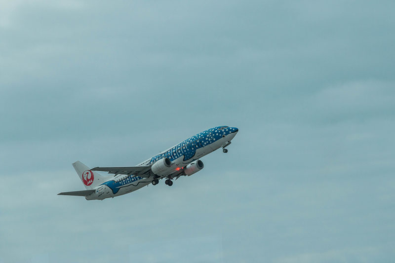 Up, up and away ...