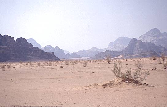 Blick ins Wadi Rum
