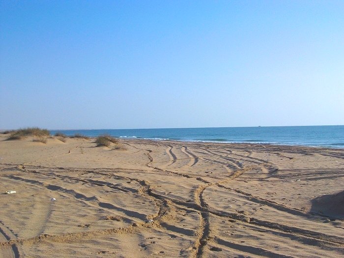 Der verspurte Sand ist eine reine Quälerei(Foto: Gerd)