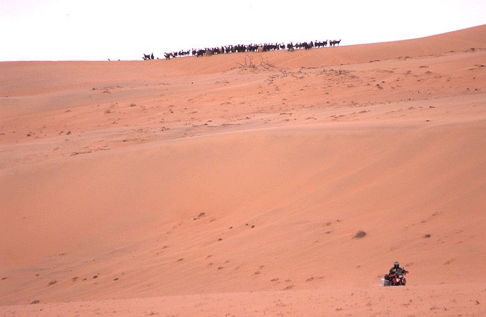 Auf der Suche nach einem Lagerplatz. Die Ziegen auf der Düne sehen aus wie Indianer kurz vor dem Angriff