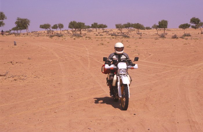 Daniela auf ihrer DR350