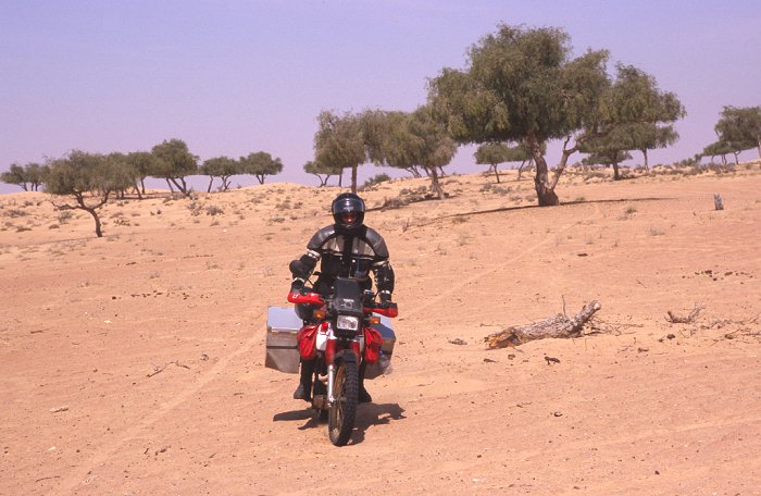 Gerd auf seiner XT600