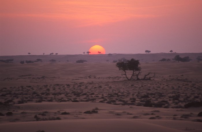 Die Sonne versinkt hinter den Dünen