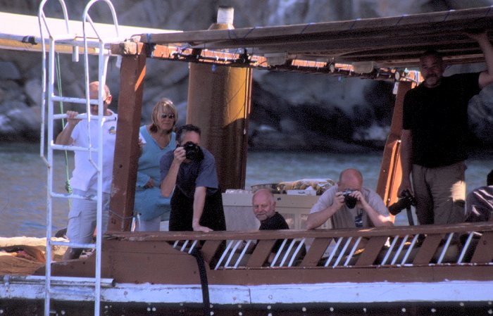 Was fotografieren denn da alle?