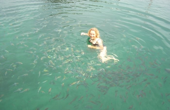 Zahlreiche Fische umschwimmen die Badenden(Foto: Gerd)