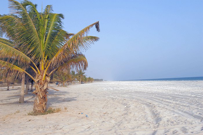 Der Kokosstrand von Salalah