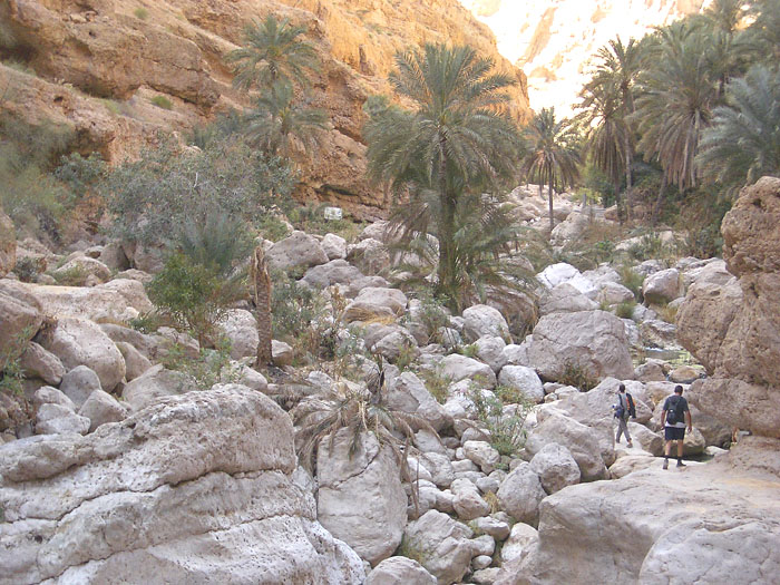 Wanderung durch das Wadi Shab