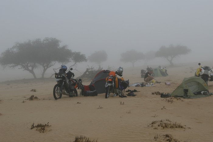 Morgennebel in der Wüste