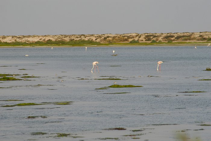 Lagune am Ende der Wüste