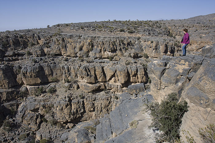 Blick in die Schlucht