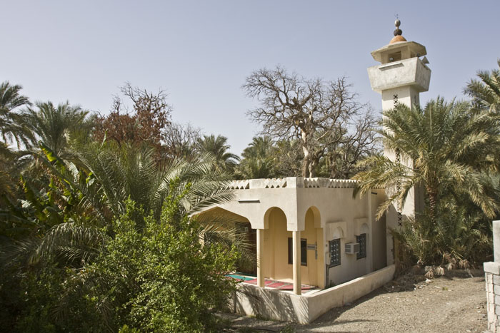 Die halb zugewachsene Moschee der Oase