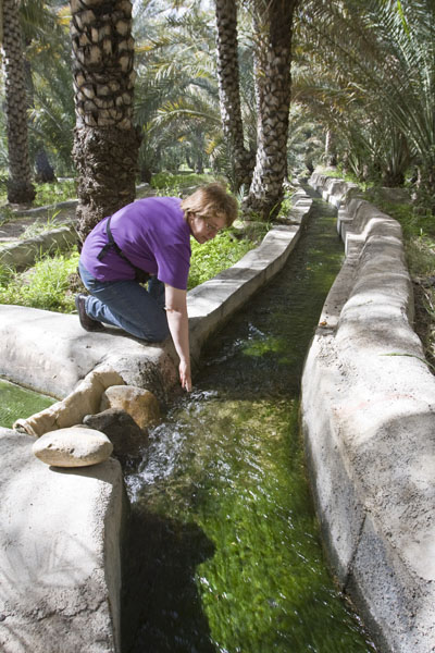 In den Falaj genannten Kanälen wird das Wasser zu den Feldern geleitet