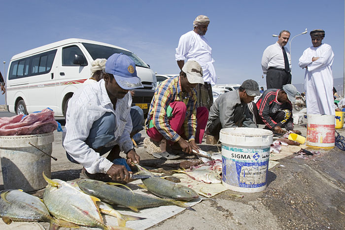Hier werden die Fische ausgenommen und geschuppt
