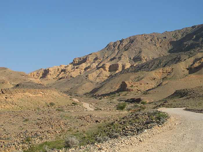 Fahrt durch das Wadi Suwayh