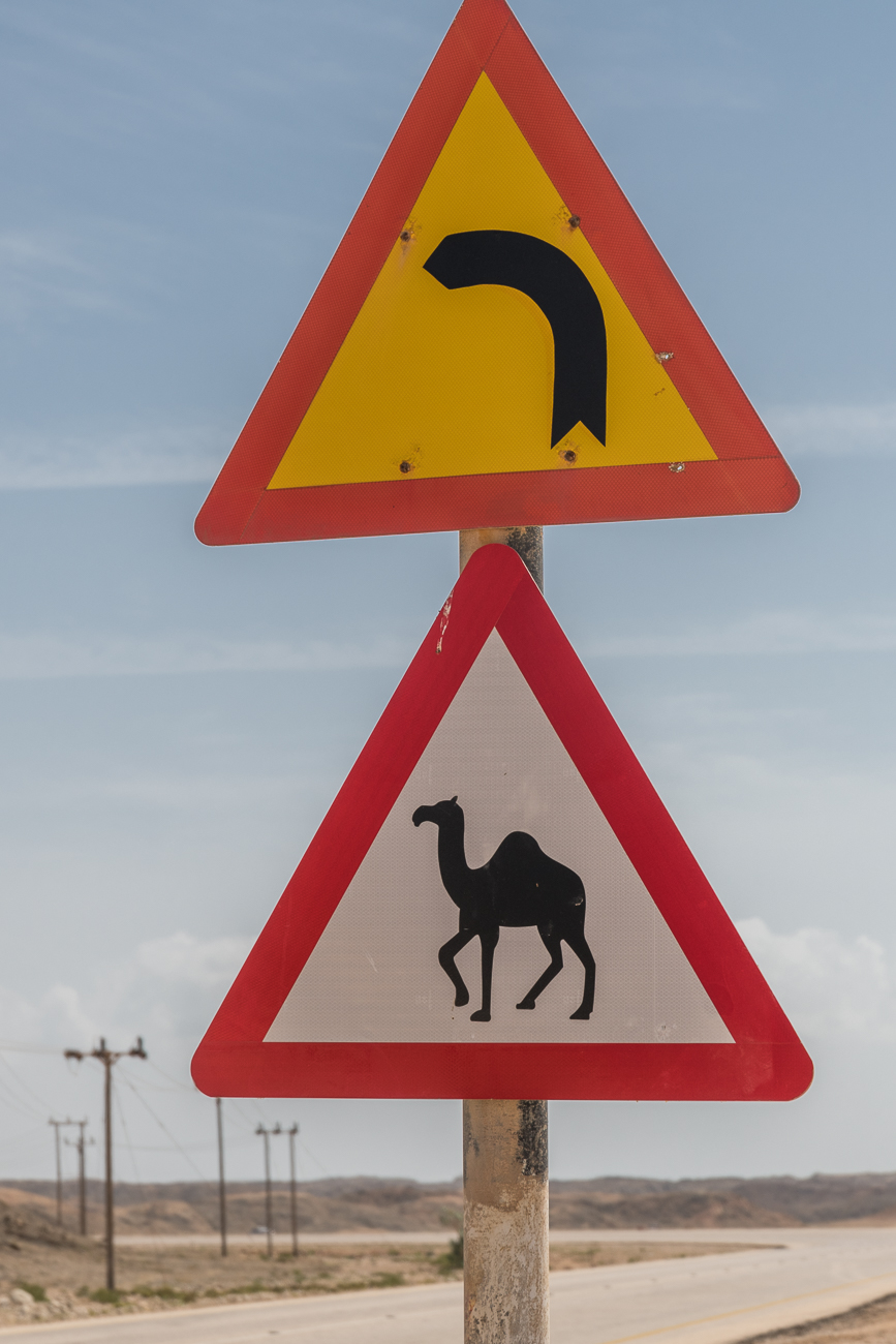 Das Warnschild hängt nicht umsonst am Straßenrand