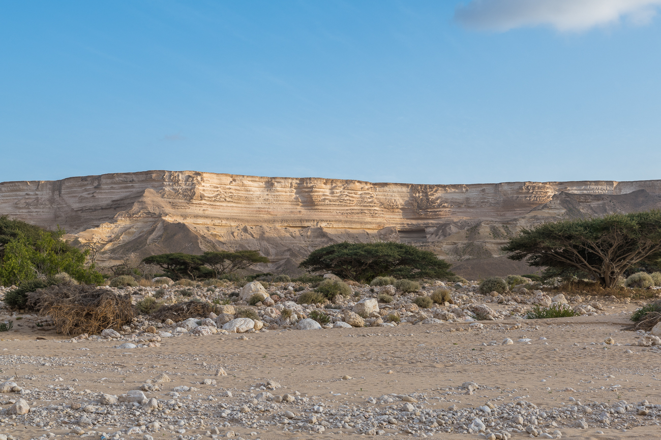 Tief eingeschnitten führt das Wadi Richtung Westen