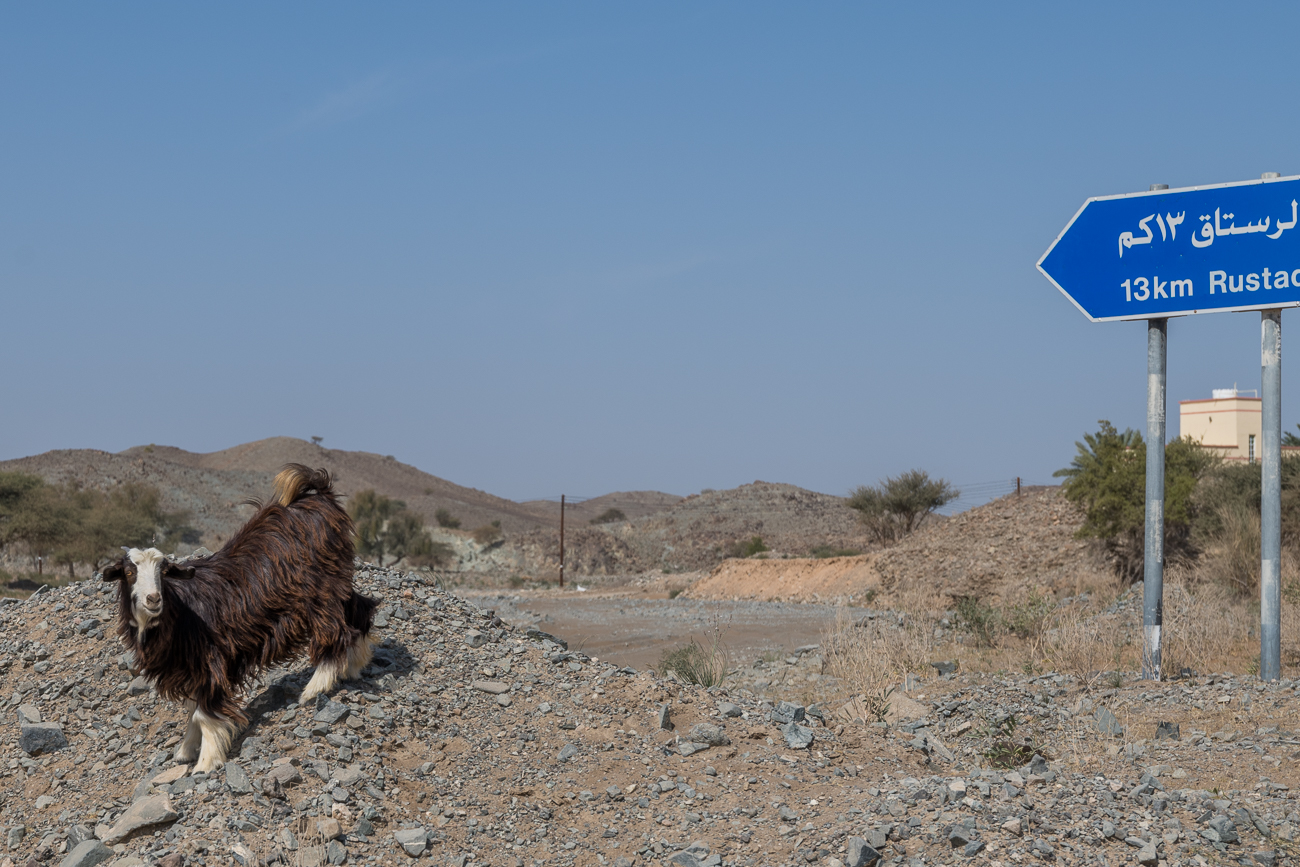 ... dann fahren wir weiter nach Rustaq
