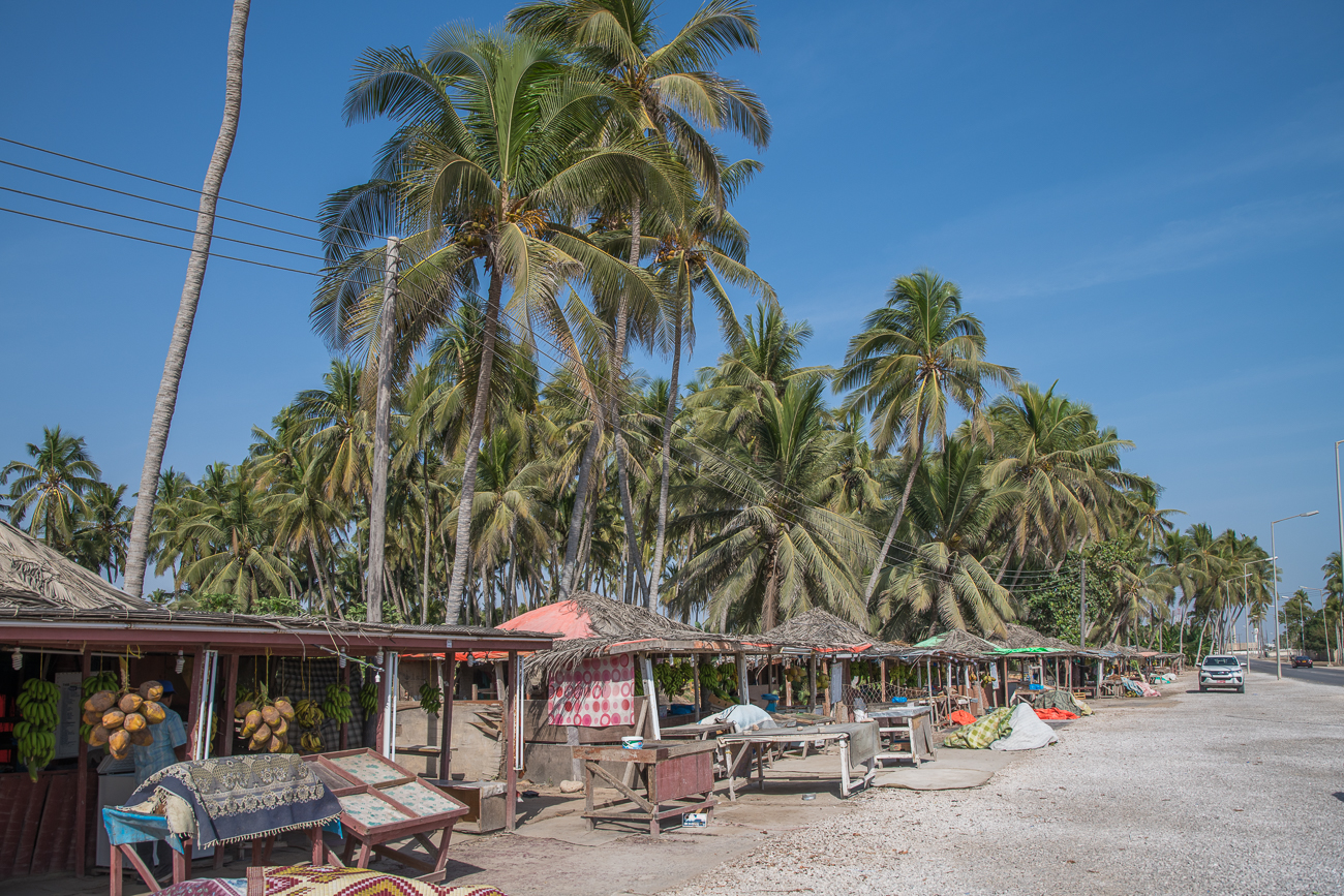 Bei den Plantagen in Salalah gibt es Kokosnüsse, Papayas und Bananen