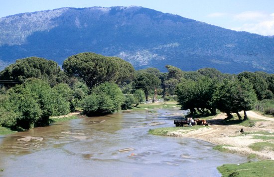 Bauern an einem Fluss