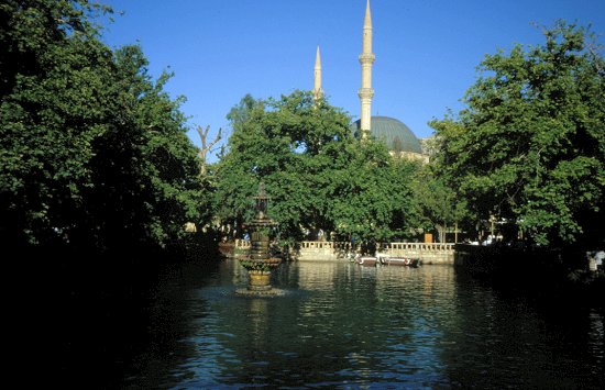 In Şanlı Urfa gibt es die berühmten Karpfenteiche in einem Park