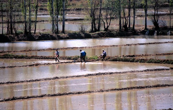 Den ganzen Tag im Wasser stehen