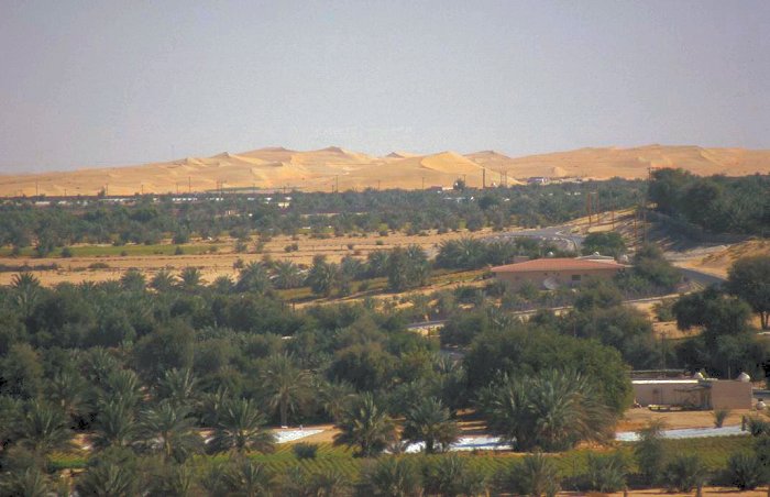 Blick auf einen Teil der Liwa-Oasen I