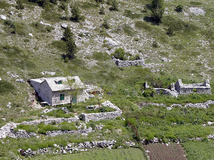 Etwas Landwirtschaft gibt es hier oben auch