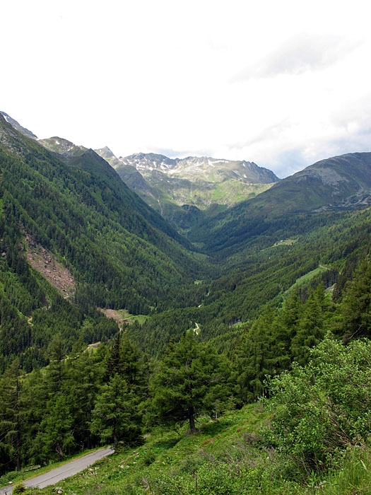 Auffahrt zum S&ouml;lkpass