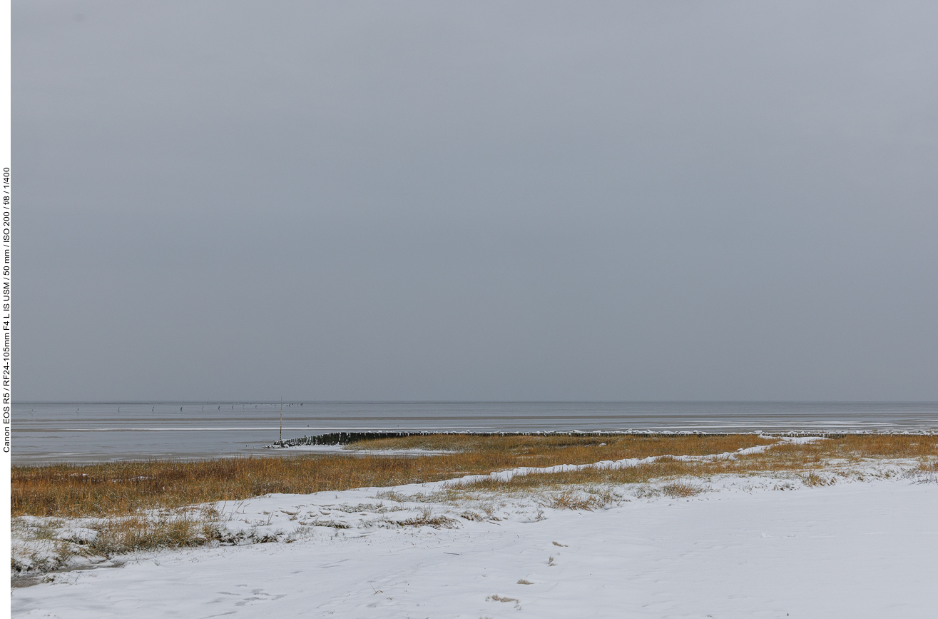 Am Wattenmeerl