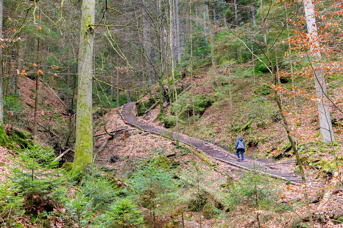 Von nun an ging's bergauf