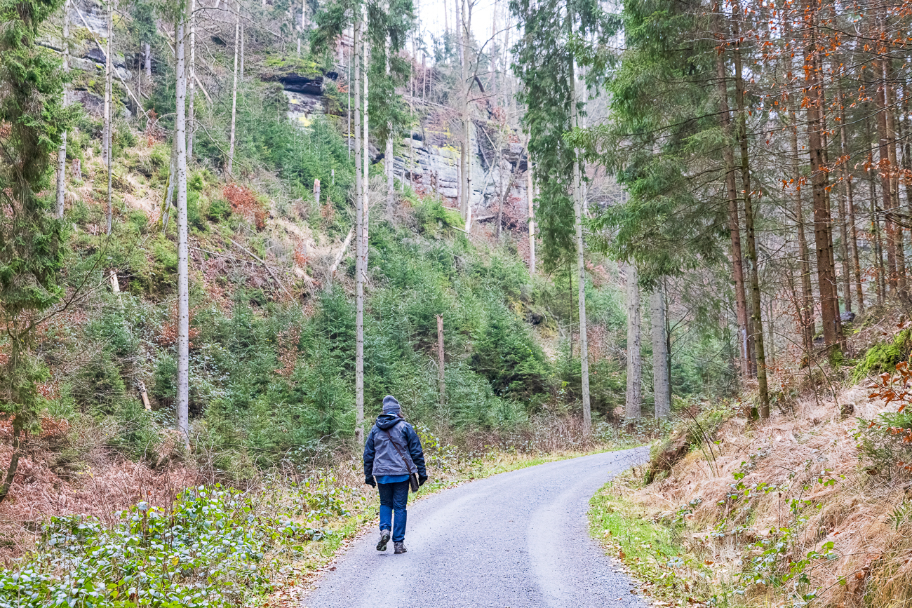 ... der von Felsen und zahlreichen umgest&uuml;rzten B&auml;umen ges&auml;umt ist