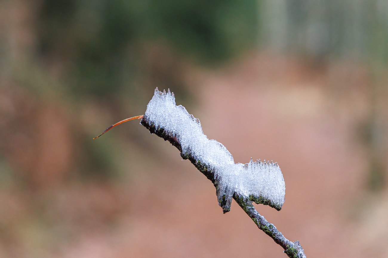 Gefrorener Nebel