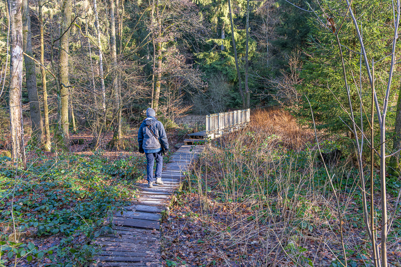 Kaum losgegangen, schon auf dem Holzweg ;-)