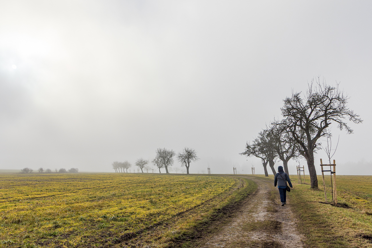 Hinter Rosenthal geht es irgendwann auf einem Feldweg weiter