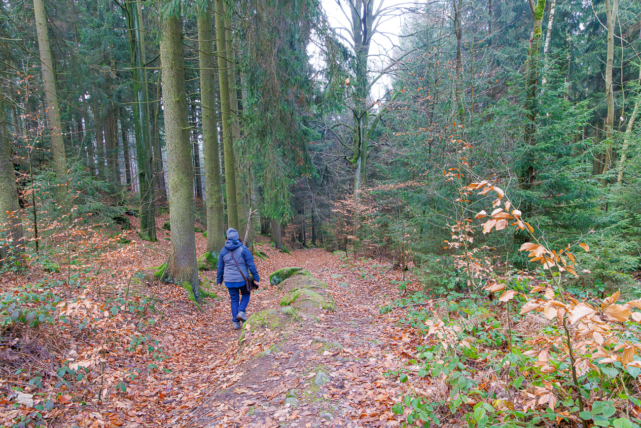 Waldweg ins Tal