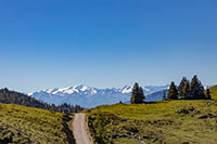 Wandern im Chiemgau